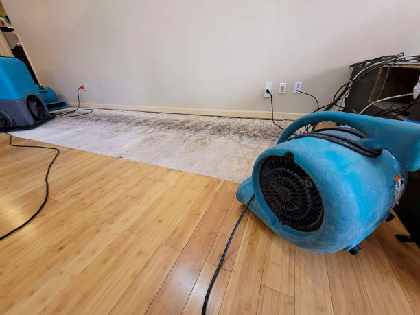 Professional Flood Damage Cleanup technician working in Dauphin, PA